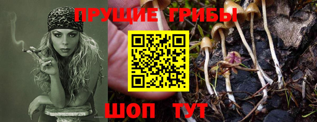 Галлюциногенные грибы Magic Shrooms Мариинск