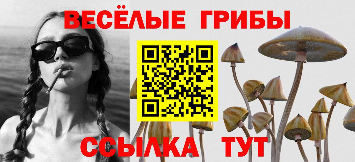 Мариинск  Галлюциногенные грибы MAGIC MUSHROOMS  Галлюциногенные грибы мицелий  Вход с VPN 