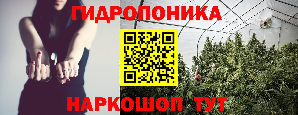 Бошки марихуана конопля  Вход с VPN  Каннабис Amnesia  Каннабис сатива  Мариинск 
